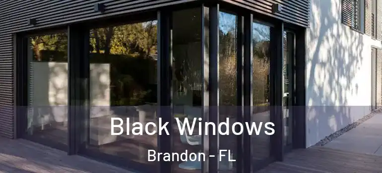 Black Windows Brandon - FL
