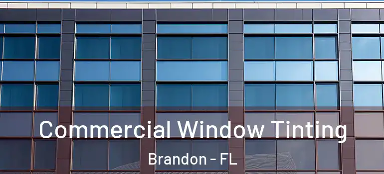 Commercial Window Tinting Brandon - FL