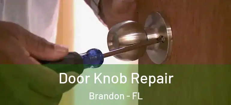  Door Knob Repair Brandon - FL