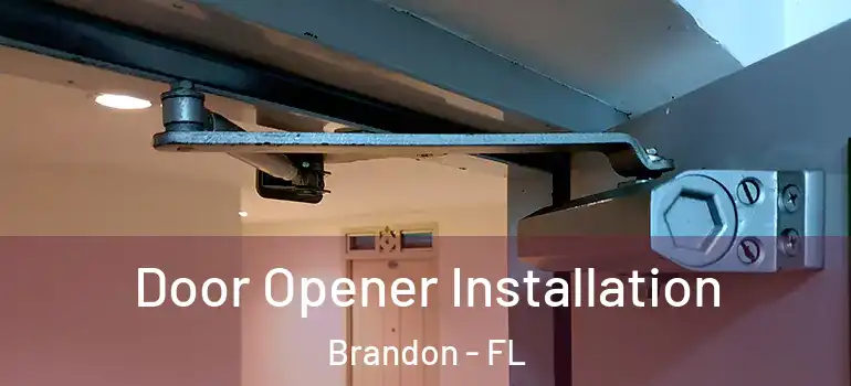  Door Opener Installation Brandon - FL