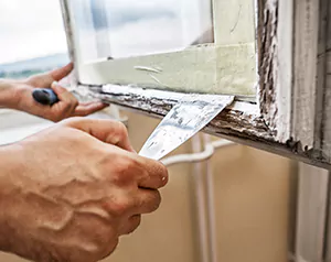 Professional Door and Windows Installation in Brandon, FL