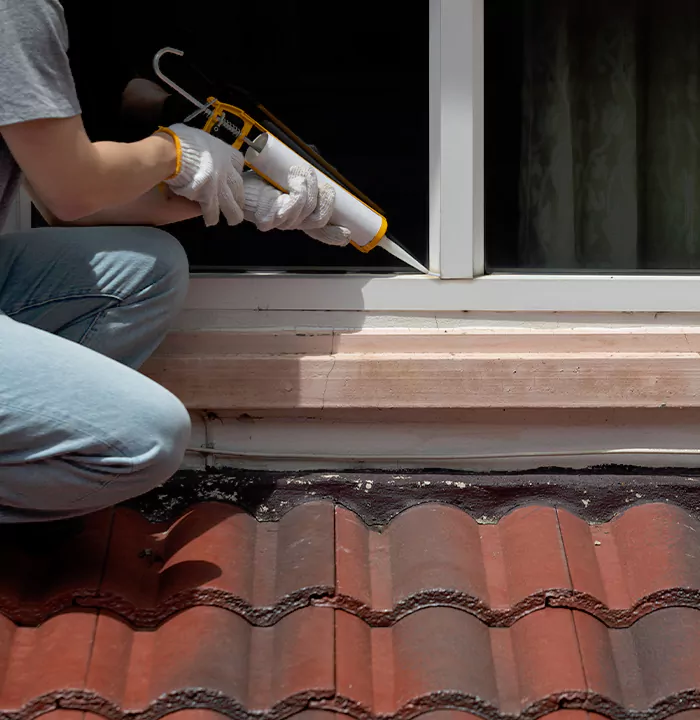 Roof Window Services in Brandon, Florida