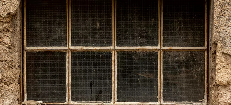 Traditional Double Front Doors in Brandon, FL