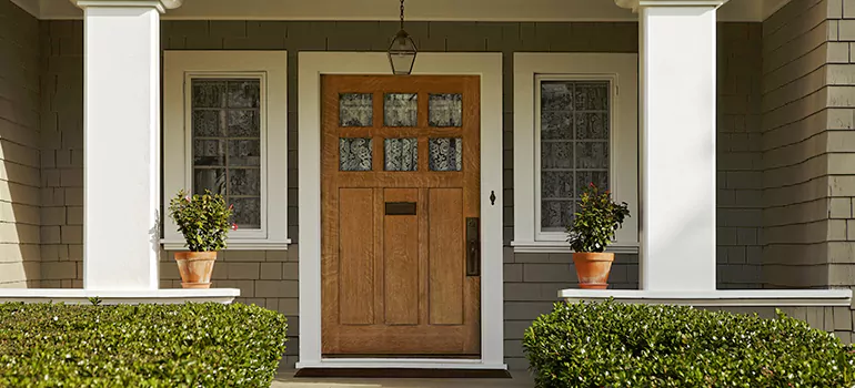 Craftsman Style Door in Brandon, FL