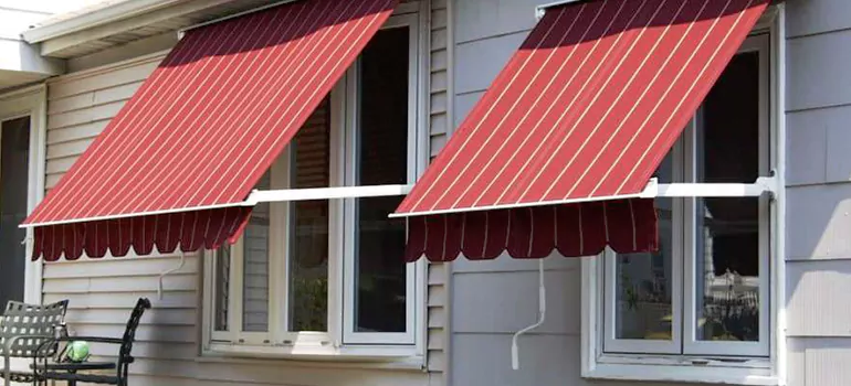 Government Rebate Window Replacement in Brandon, FL