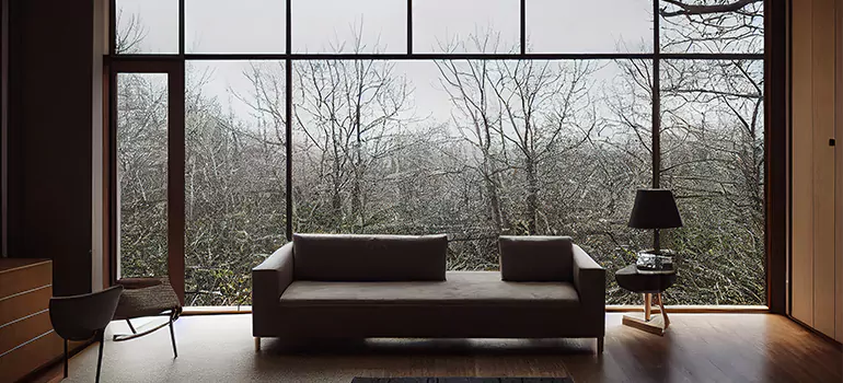 Casement Picture Window in Brandon, FL