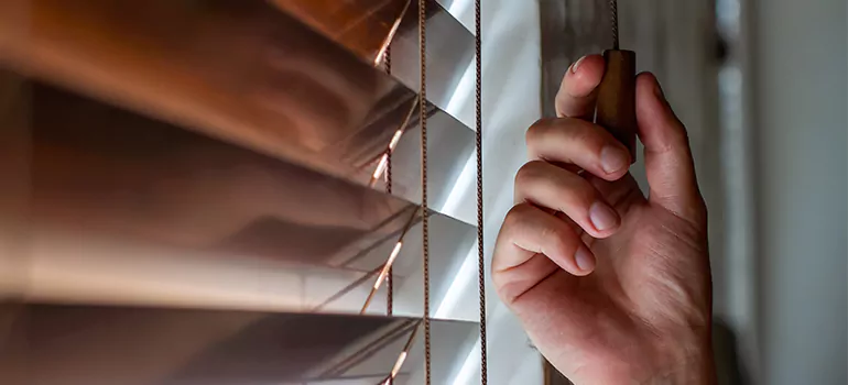 Double Roller Blinds in Brandon, FL