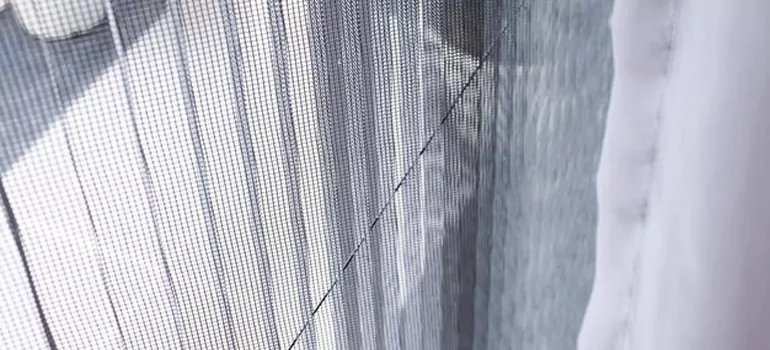 Fixing Screen Window Mesh in Brandon, FL
