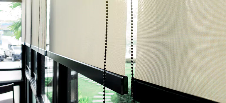 Blackout Window Shades in Brandon, FL