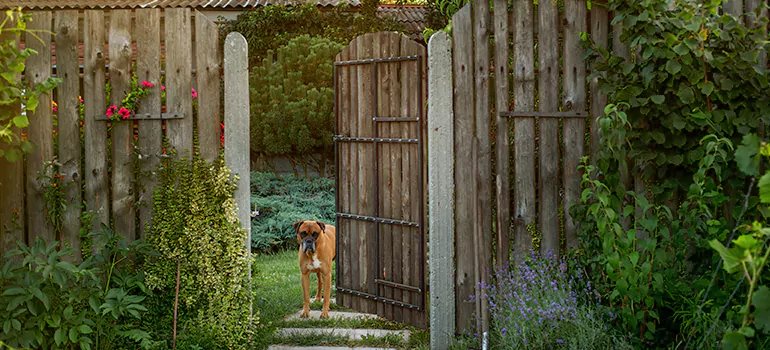 Winter Garden Garage Door Repair in Brandon,[location field=state]