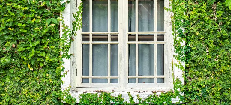 Garden Window Repair Near Me in Brandon, FL