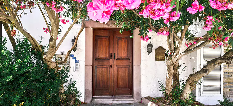 Traditional 4 Panel Internal Doors in Brandon, FL