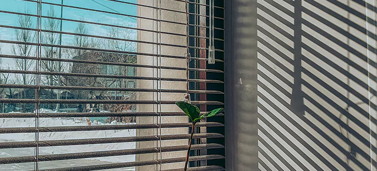 Commercial Window Blinds in Brandon, FL