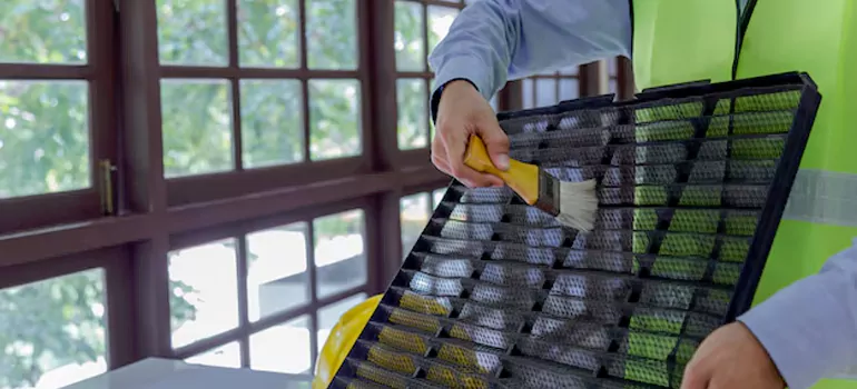 Traditional Window Grille Installation Options in Brandon, FL