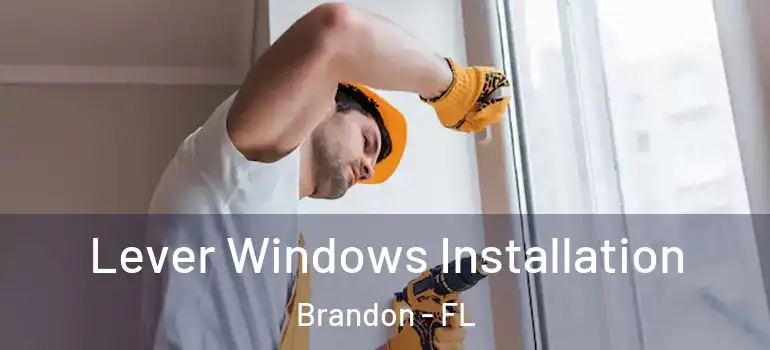 Lever Windows Installation Brandon - FL