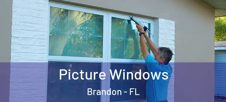 Picture Windows Brandon - FL
