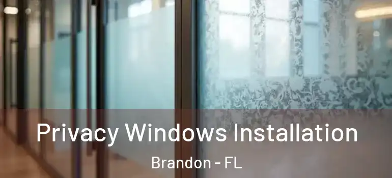 Privacy Windows Installation Brandon - FL