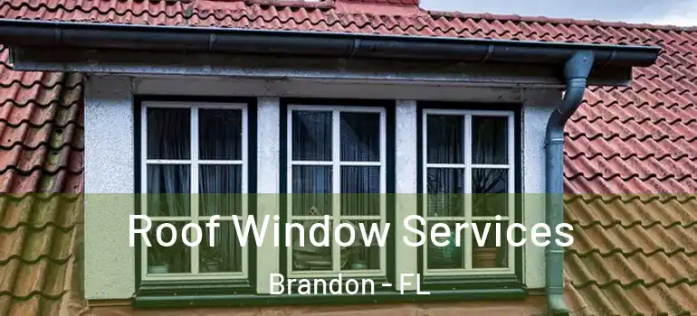 Roof Window Services Brandon - FL