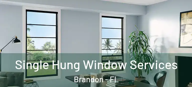 Single Hung Window Services Brandon - FL