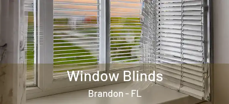  Window Blinds Brandon - FL