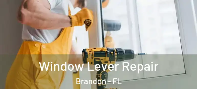 Window Lever Repair Brandon - FL