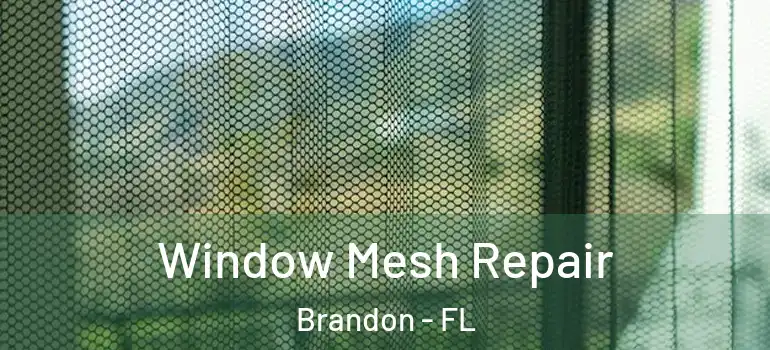  Window Mesh Repair Brandon - FL