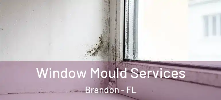 Window Mould Services Brandon - FL