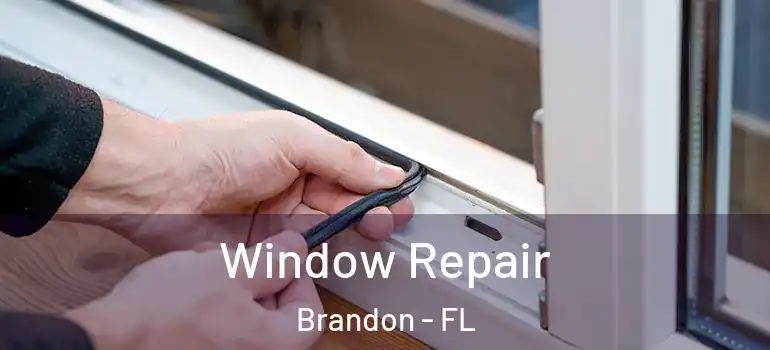 Window Repair Brandon - FL