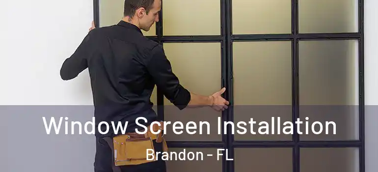 Window Screen Installation Brandon - FL