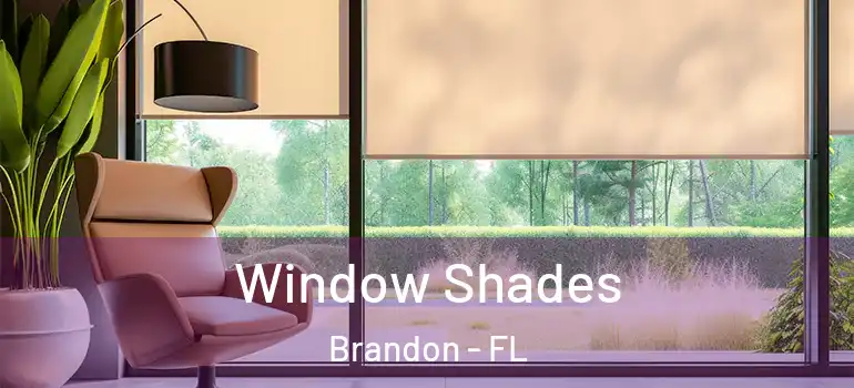 Window Shades Brandon - FL